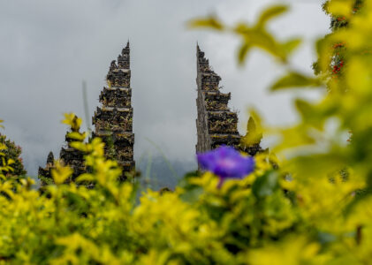 Indonezja: Z wizytą u smoków z Komodo