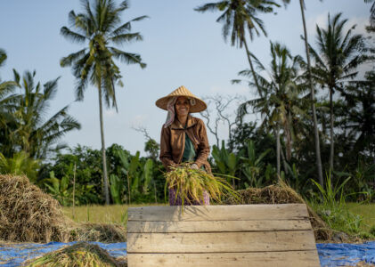Indonezja