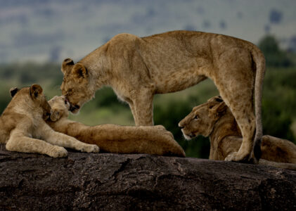 Kenia